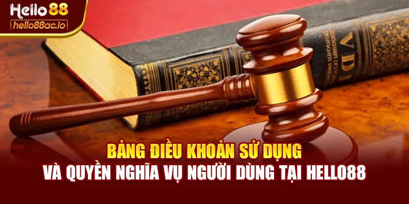 Bảng điều khoản sử dụng và quyền nghĩa vụ người dùng tại Hello88