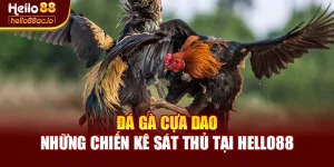 Đá Gà Cựa Dao – Những Chiến Kê Sát Thủ Tại Hello88