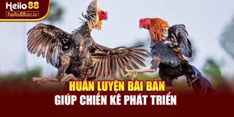 Huấn luyện bài bản giúp chiến kê phát triển 